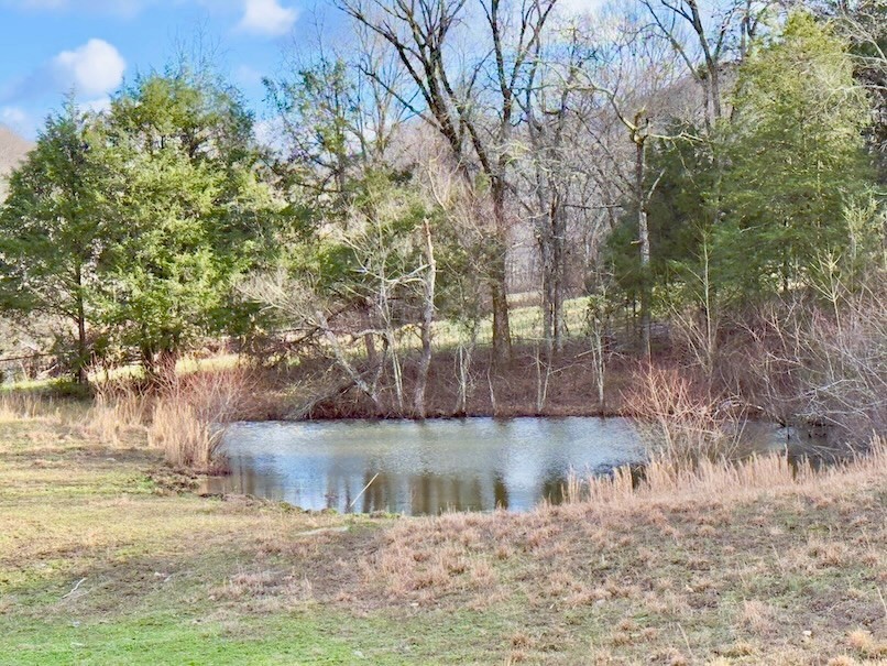 161 Fowler Rd Property Photo 49