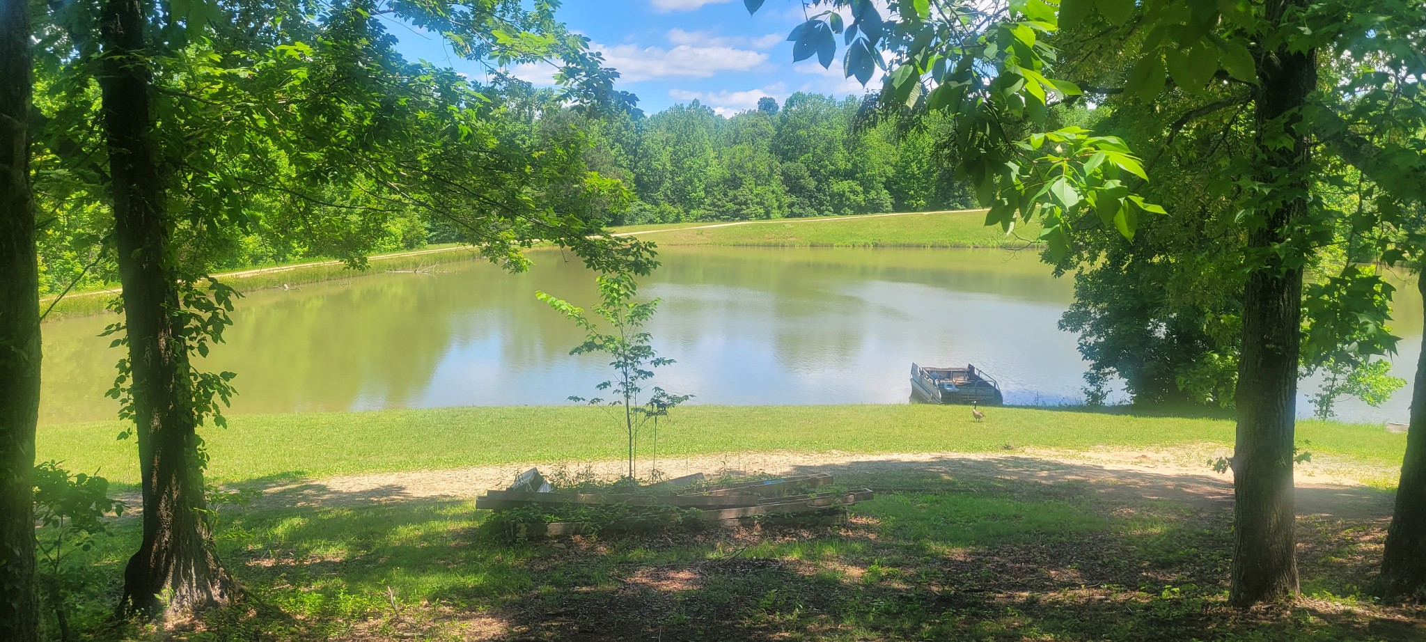 241 Peterson Loop Property Photo 6