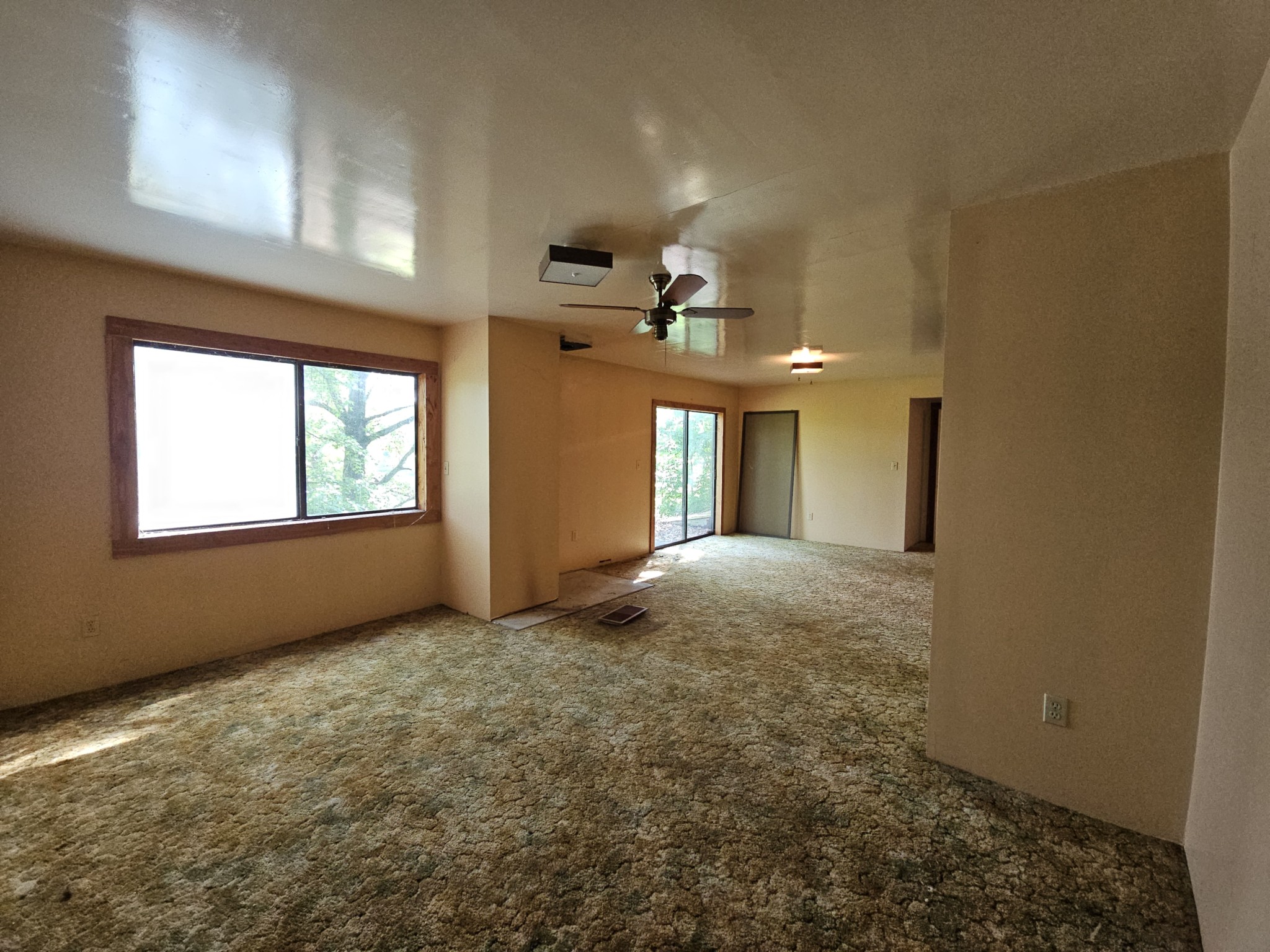 241 Peterson Loop Property Photo 13