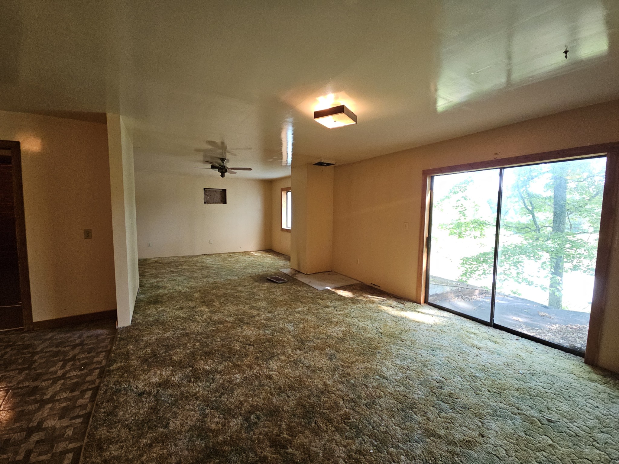 241 Peterson Loop Property Photo 14