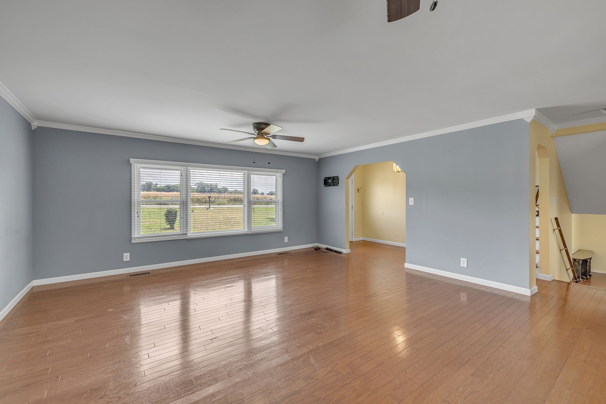 135 Carter Rd Property Photo 29