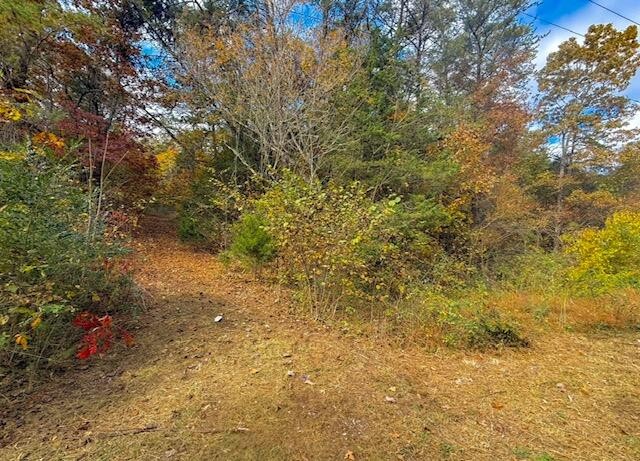 9 Reed Bull Rd Property Photo 2