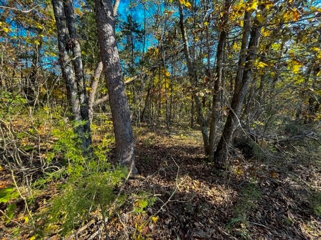 9 Reed Bull Rd Property Photo 5
