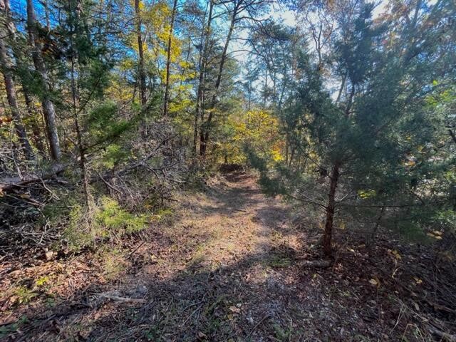 9 Reed Bull Rd Property Photo 6