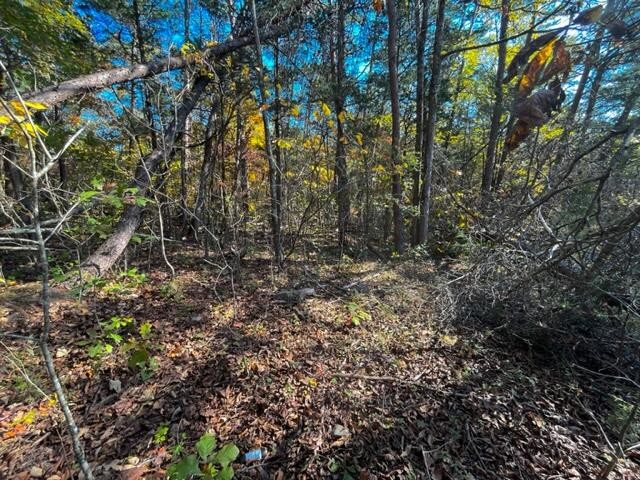 9 Reed Bull Rd Property Photo 8