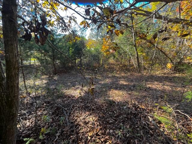 9 Reed Bull Rd Property Photo 9