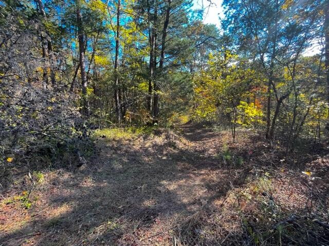 9 Reed Bull Rd Property Photo 10