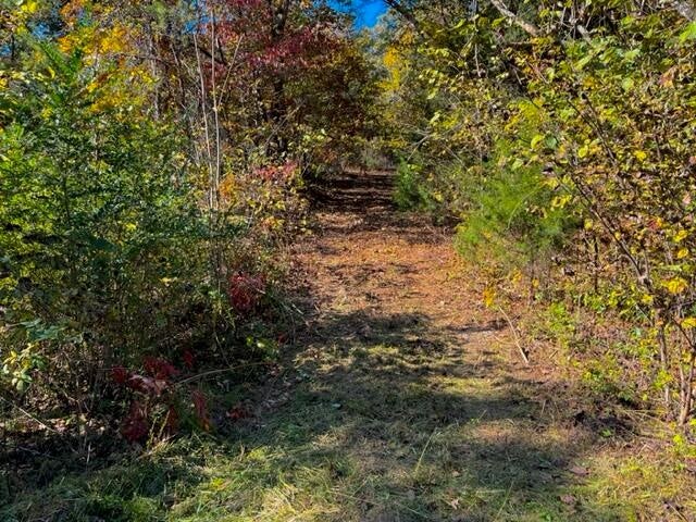 9 Reed Bull Rd Property Photo 11