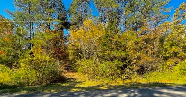 9 Reed Bull Rd Property Photo 12
