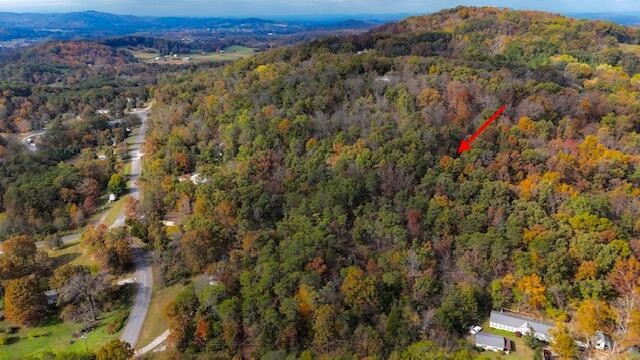 9 Reed Bull Rd Property Photo 21