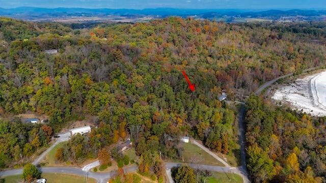 9 Reed Bull Rd Property Photo 22