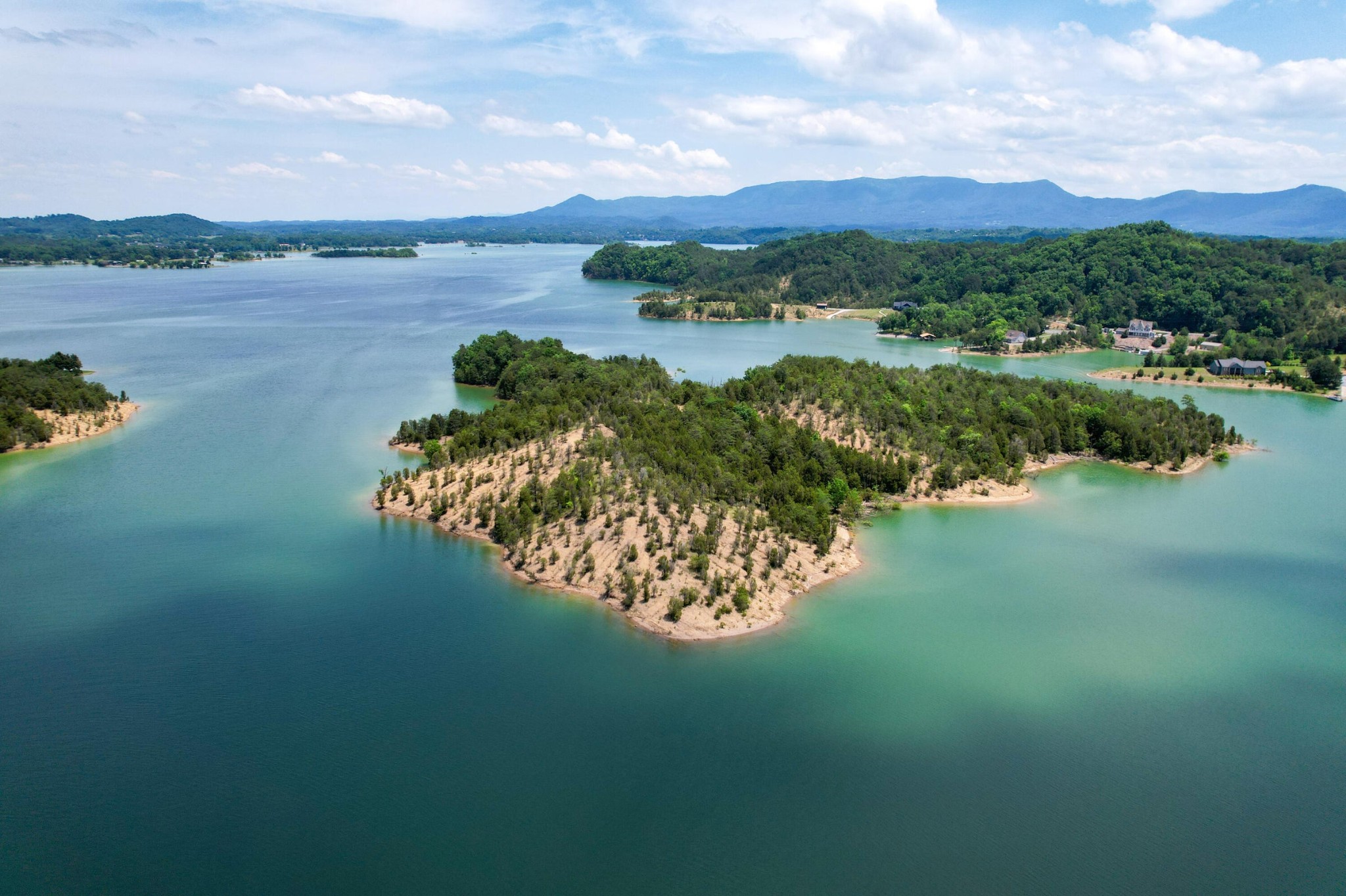0 Douglas Lake Island Property Photo 1