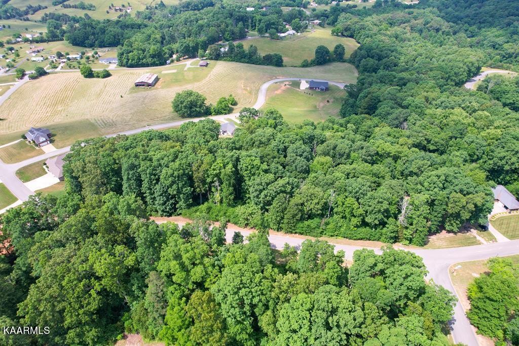 6312 Turners Pond Trl Property Photo 1
