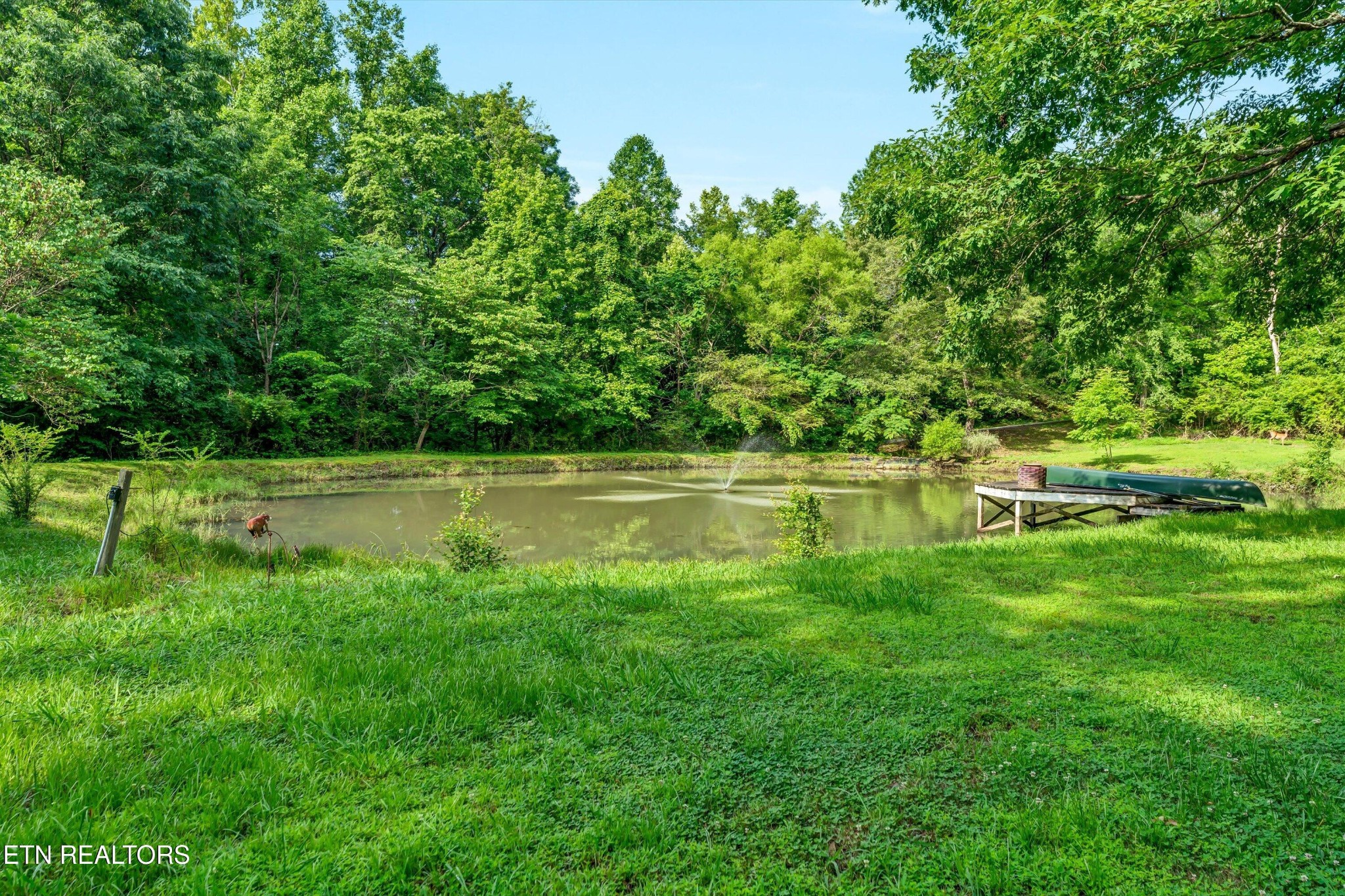 152 Spring Lane Property Photo 40