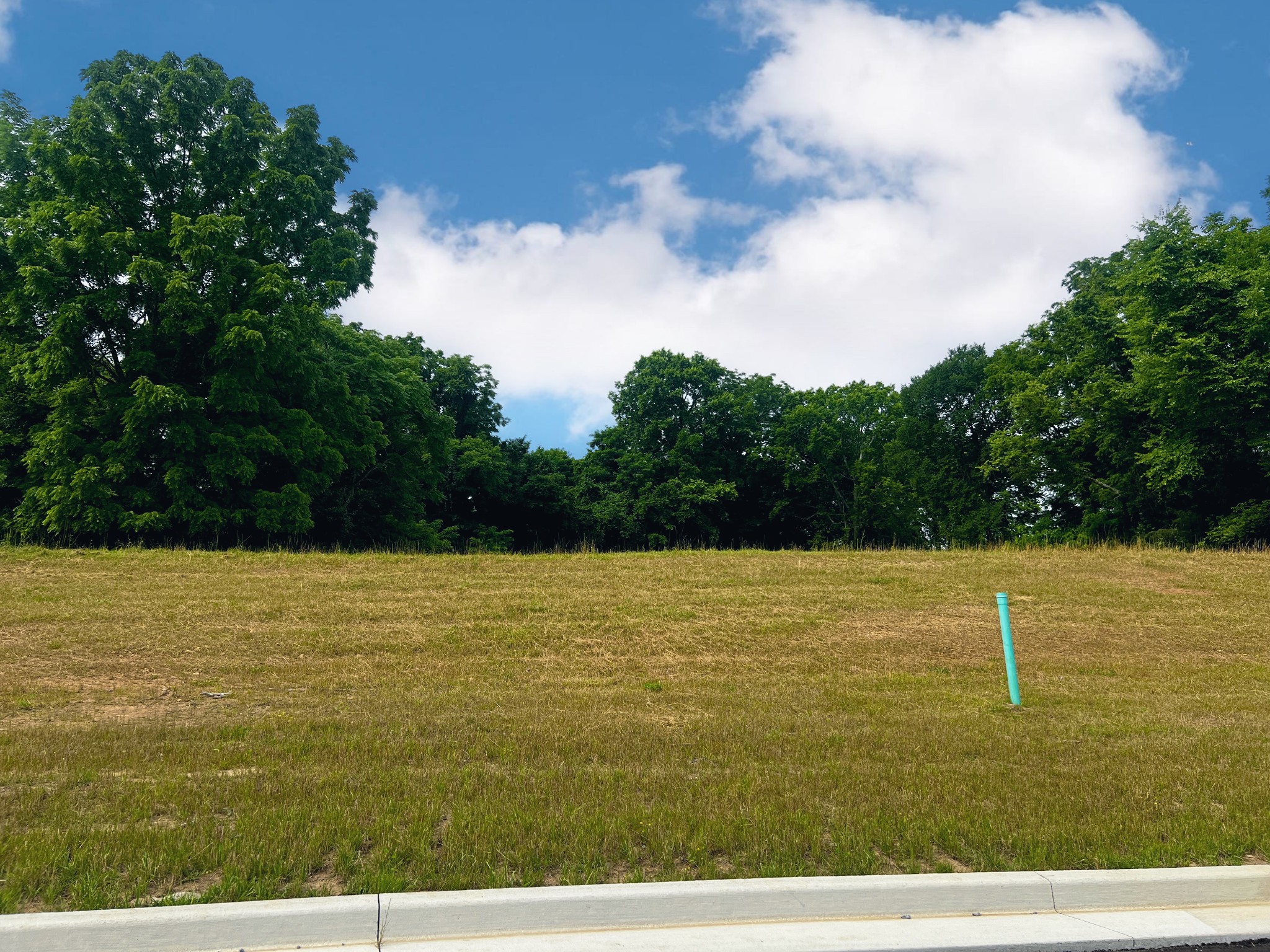9902 Amarosa Court Property Photo 2