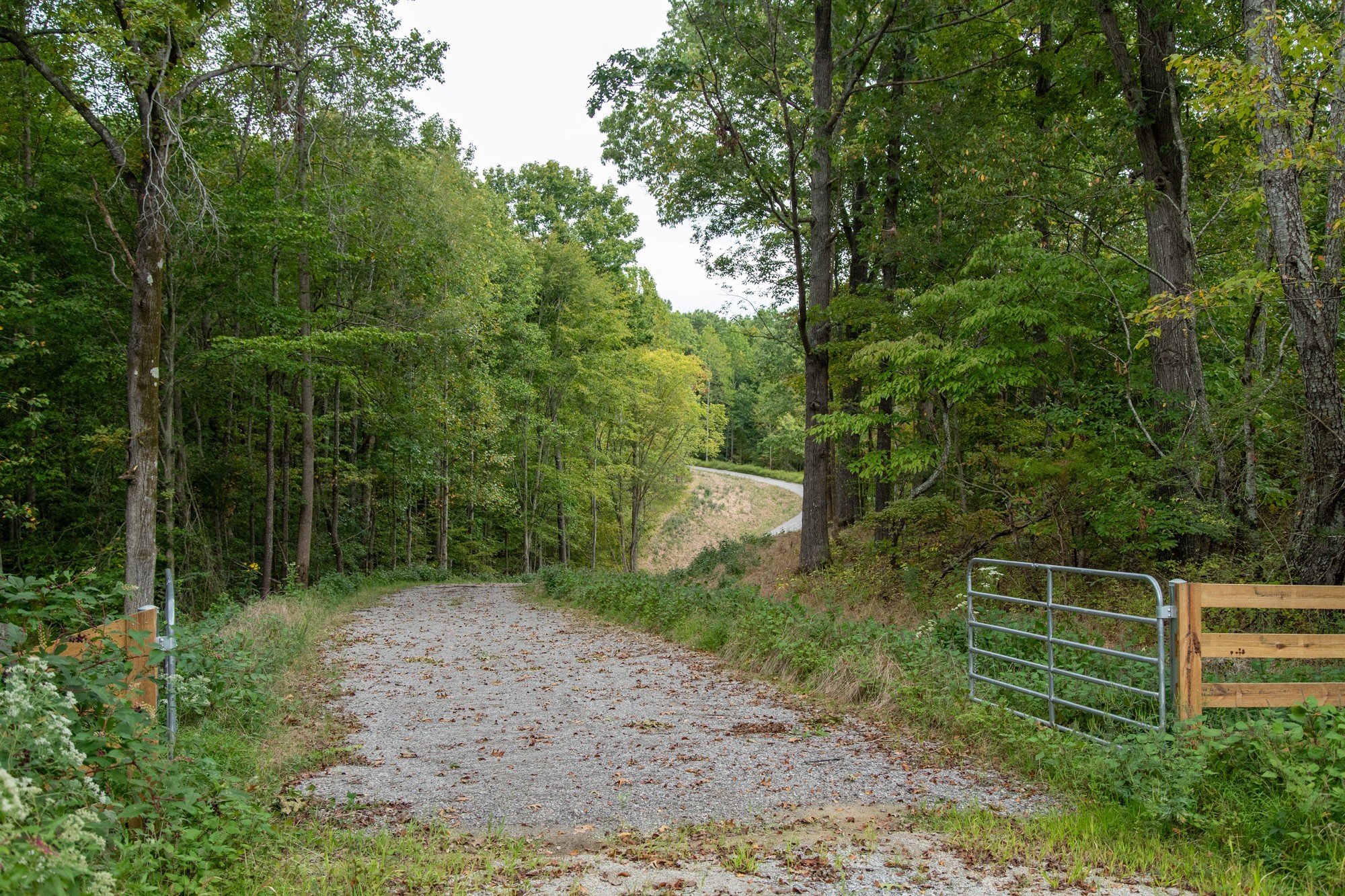 5690 Pinewood Rd Property Photo 12