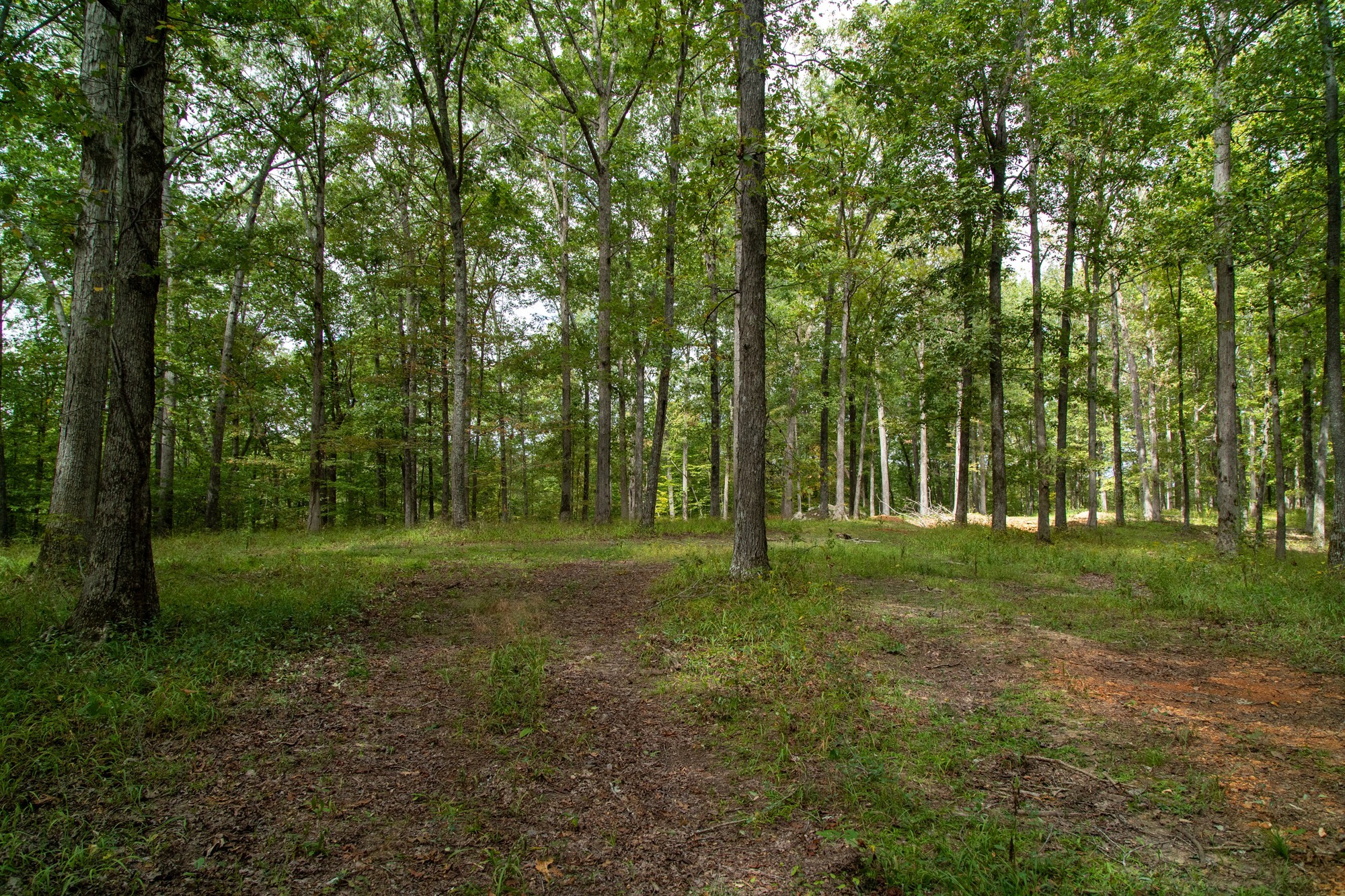 5690 Pinewood Rd Property Photo 30