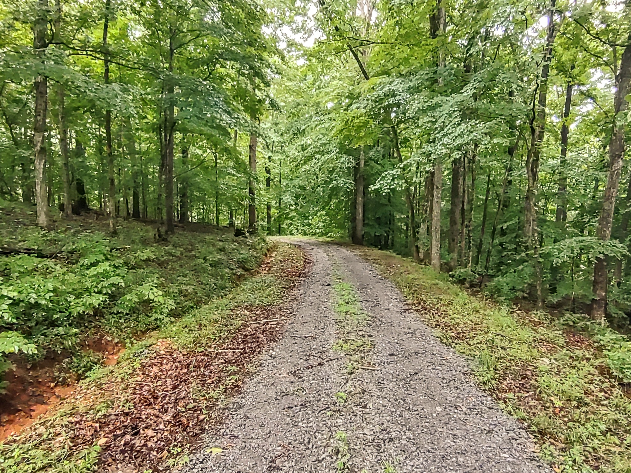 2332 Bear Creek Rd Property Photo 41