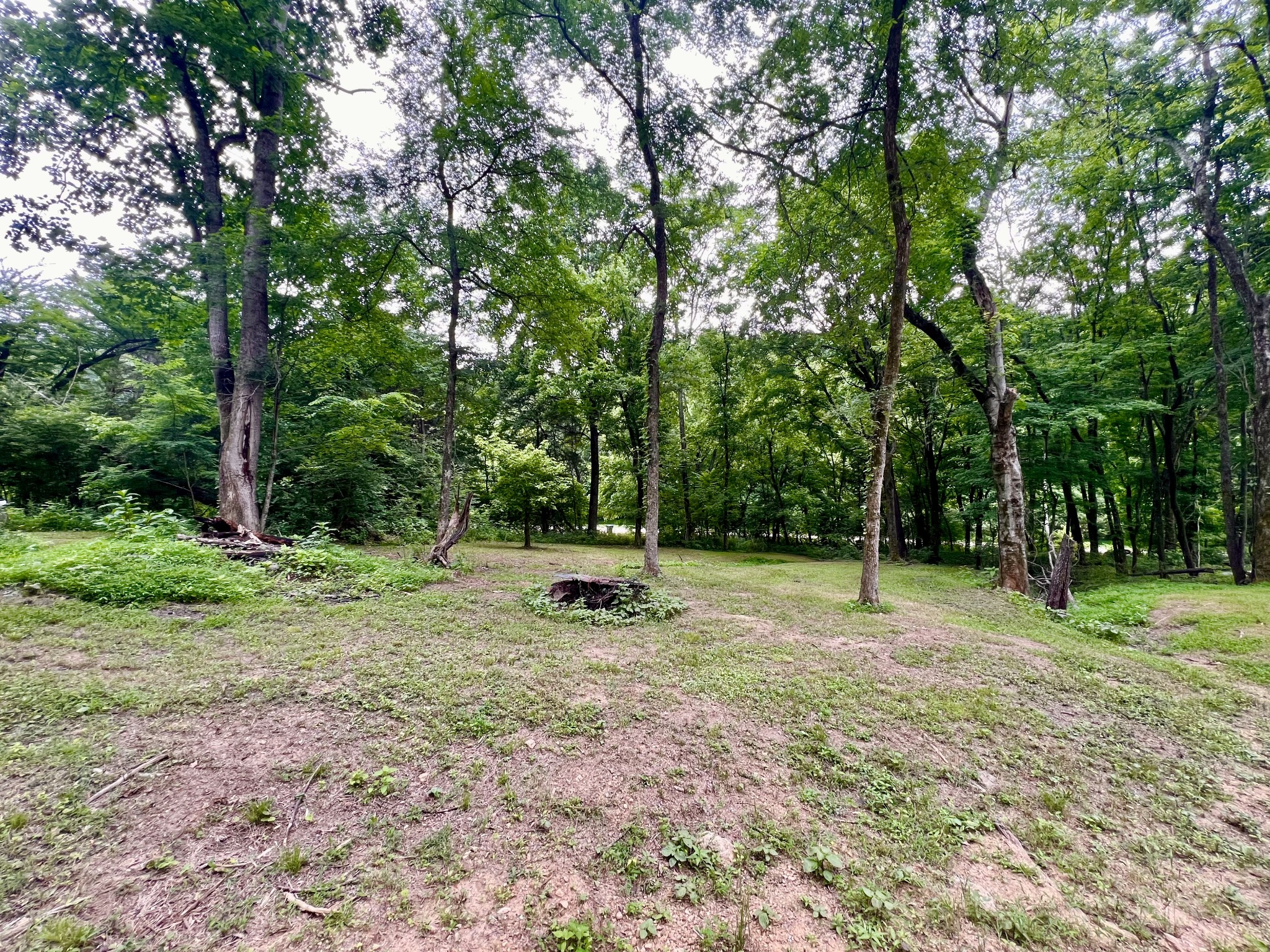 1173 Cedar Hurst Ln Property Photo