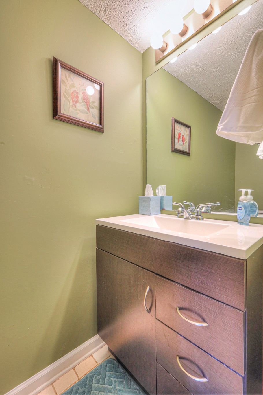 313 Ash Forge Dr Property Photo 6