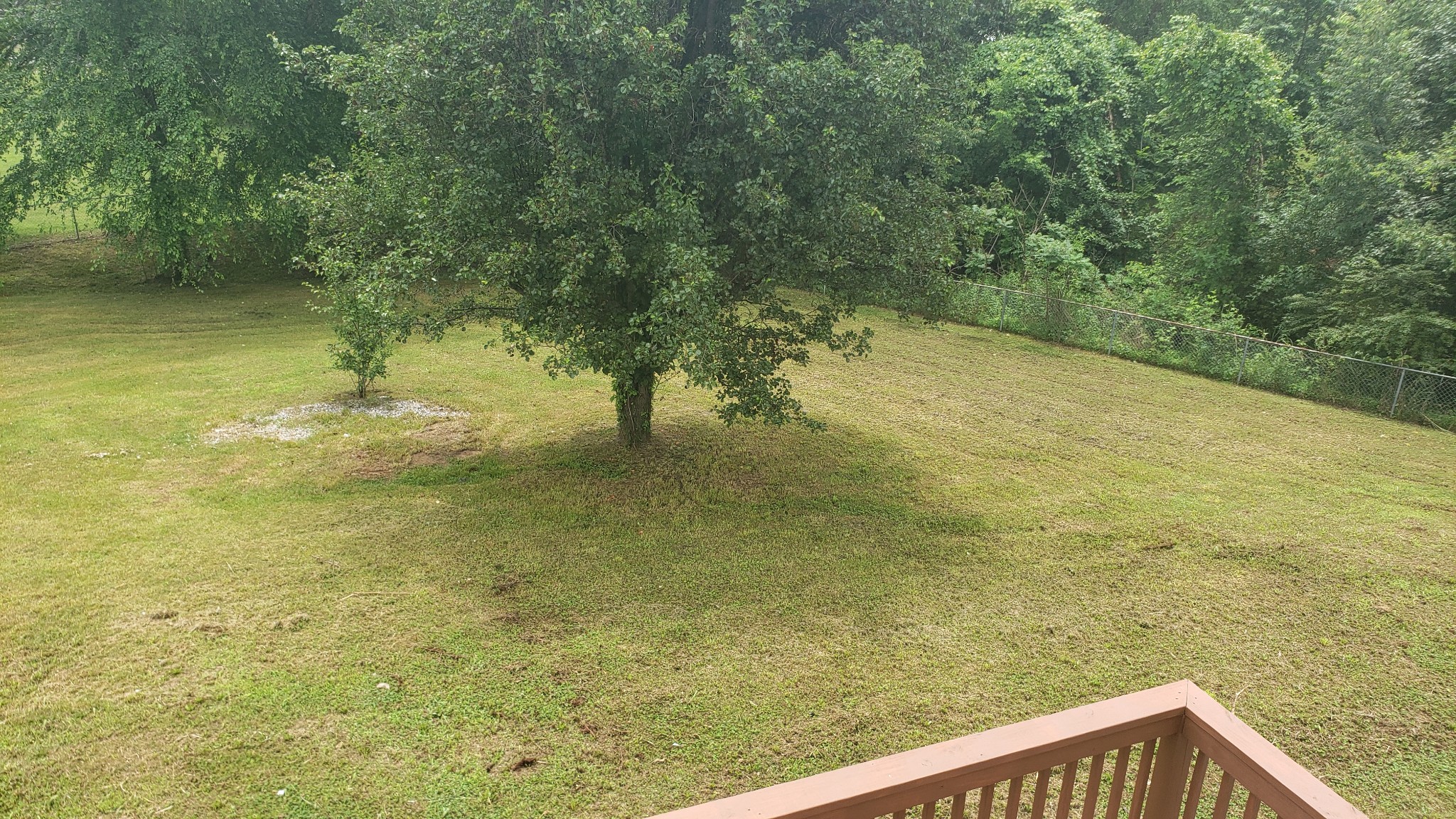 570 Barney Ln Property Photo 30