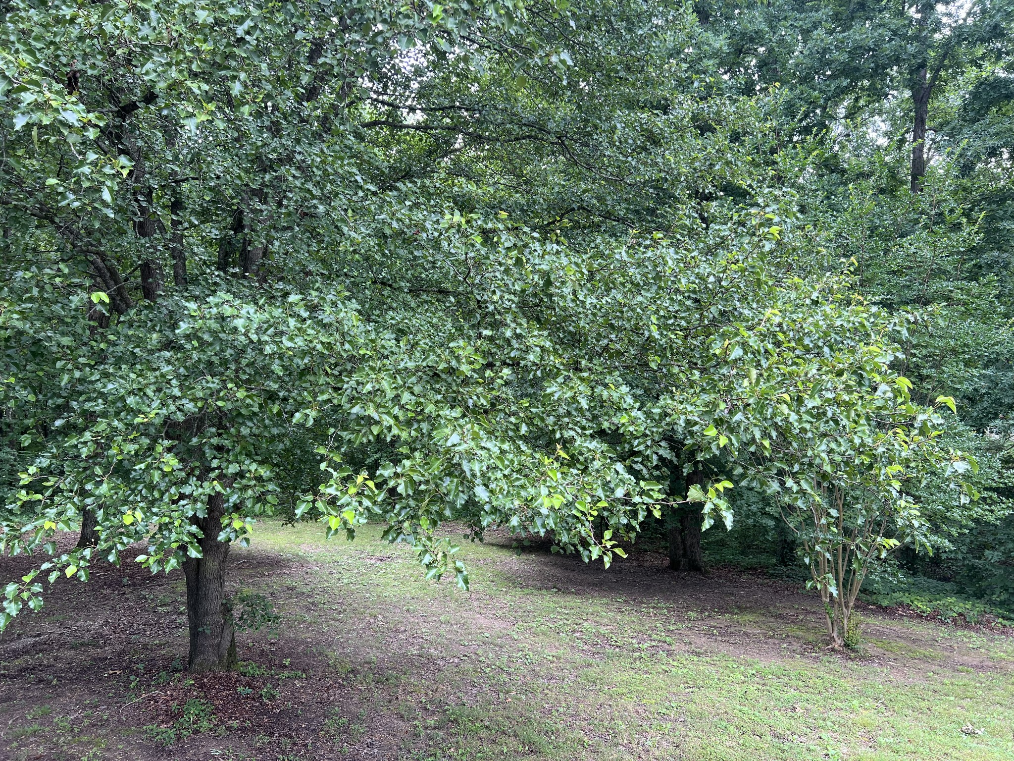 1145 Blake Rd Property Photo 4