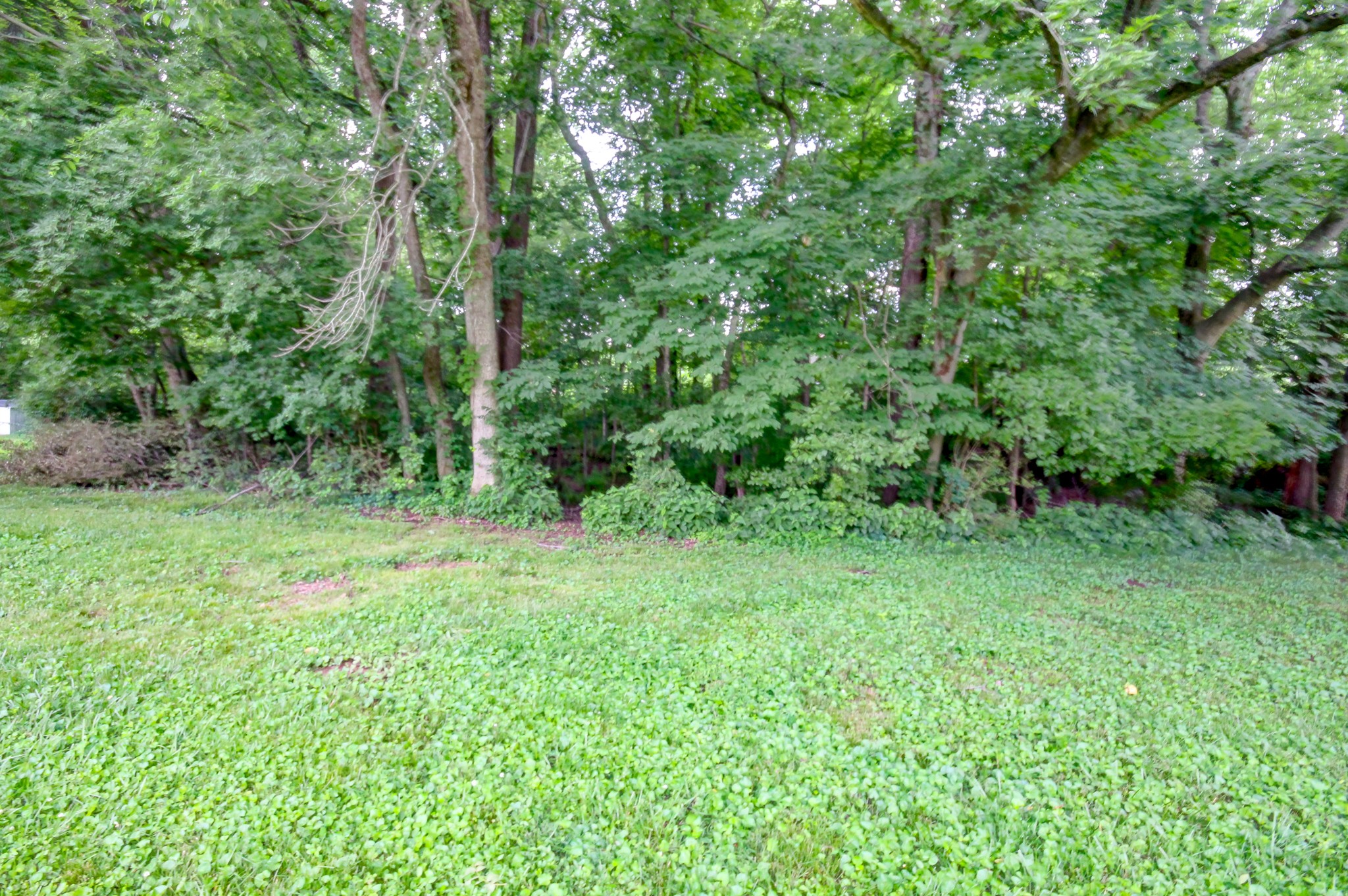 304 Ridgeland Dr Property Photo 48