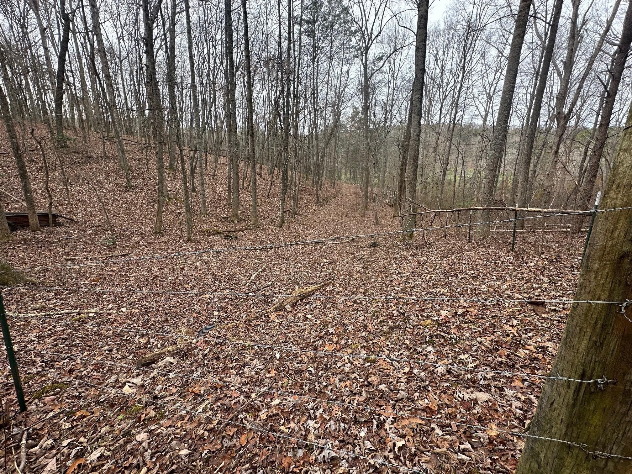 12062 Browns Hollow Road Property Photo 1