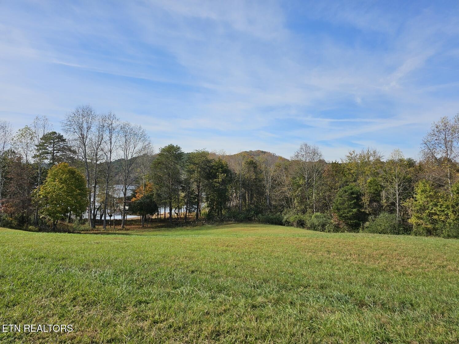 261 White Swan Drive Property Photo 1