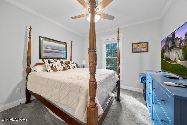2419 Robin Ridge Drive Property Photo 31