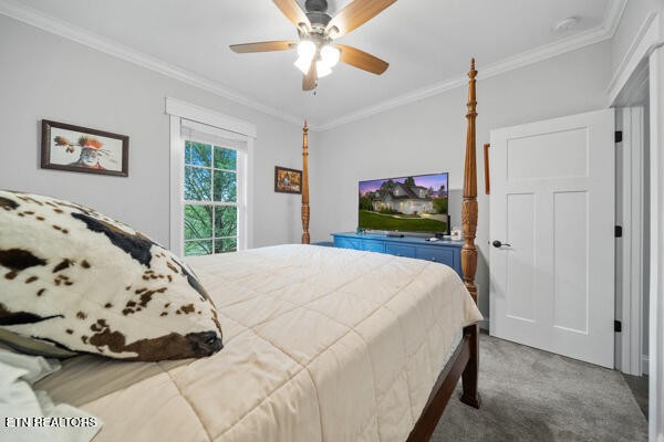 2419 Robin Ridge Drive Property Photo 32