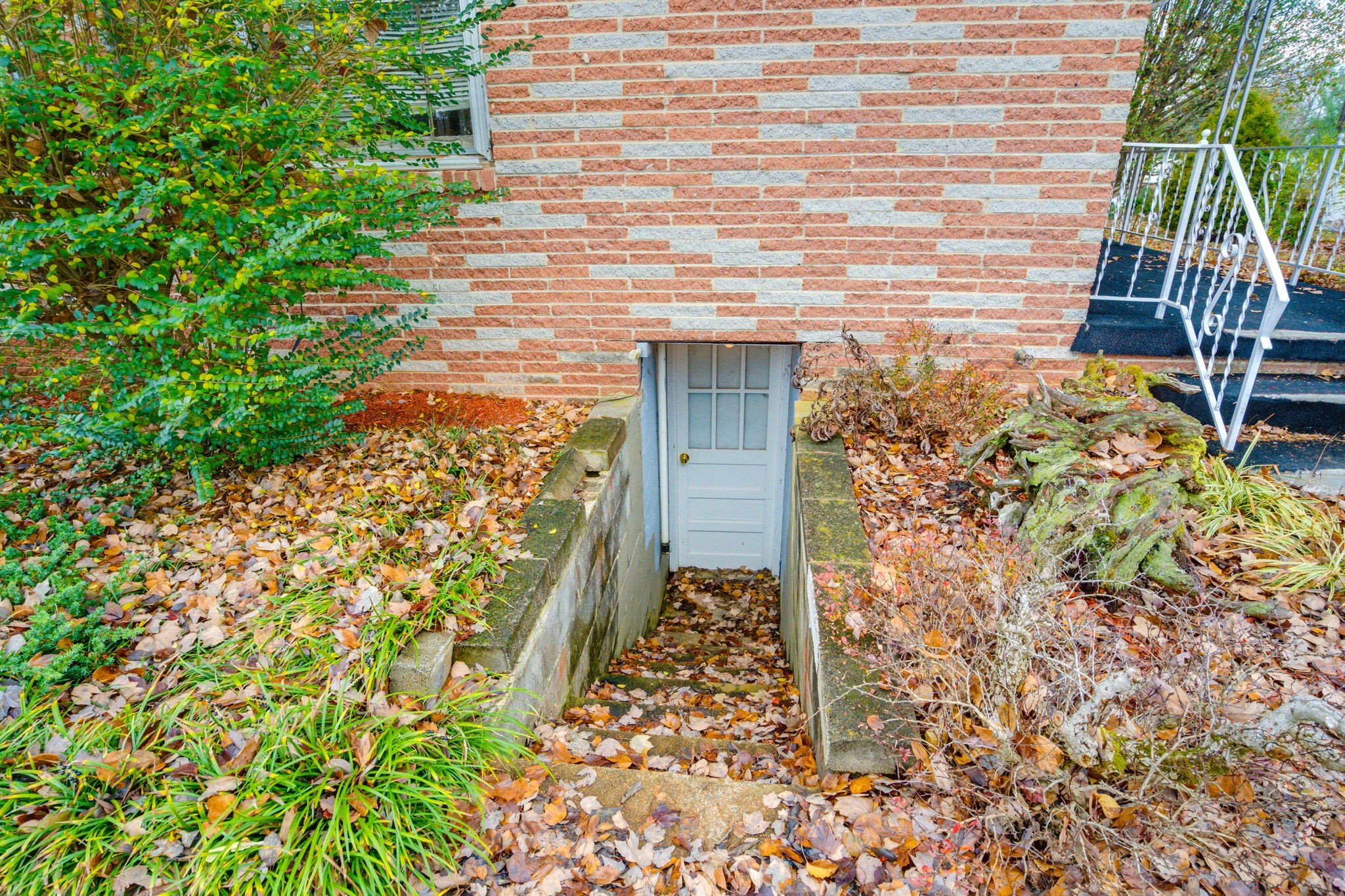 204 Rutherford Ave Property Photo 8