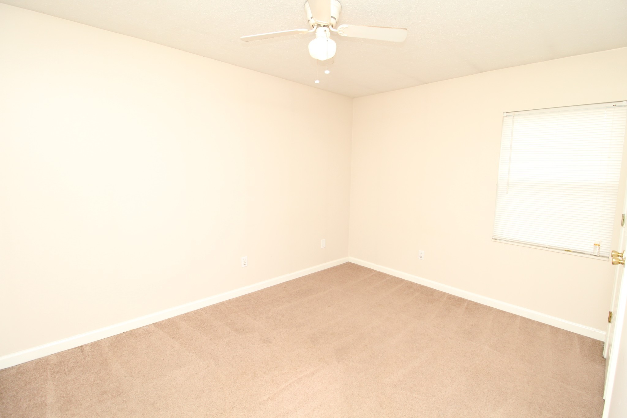 1174 Schatten Street Property Photo 10