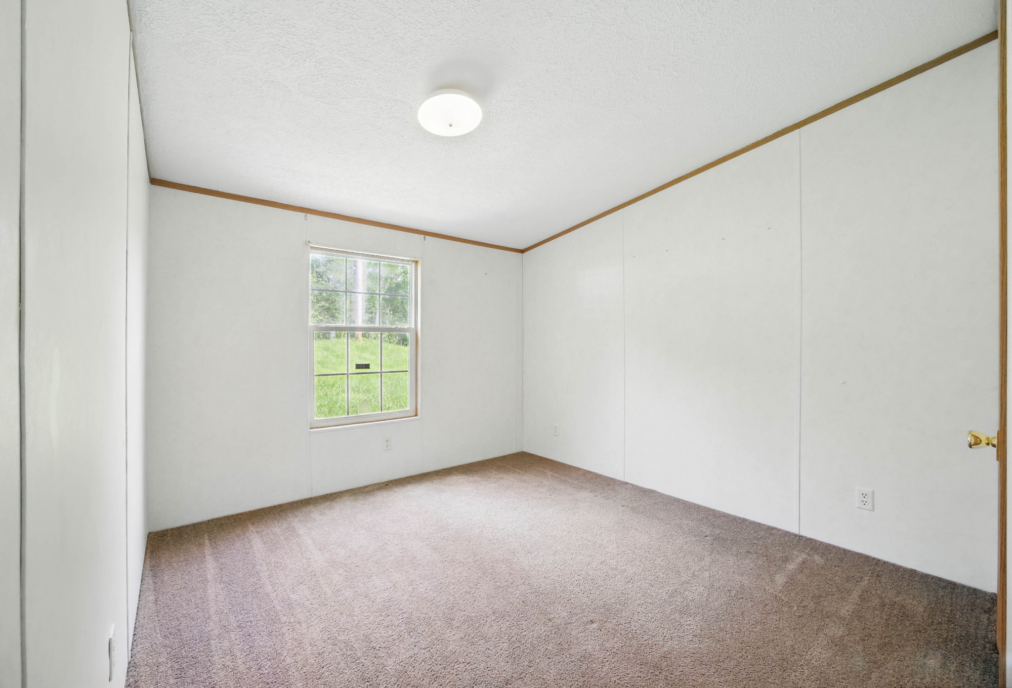 947 Buck Branch Rd Property Photo 31