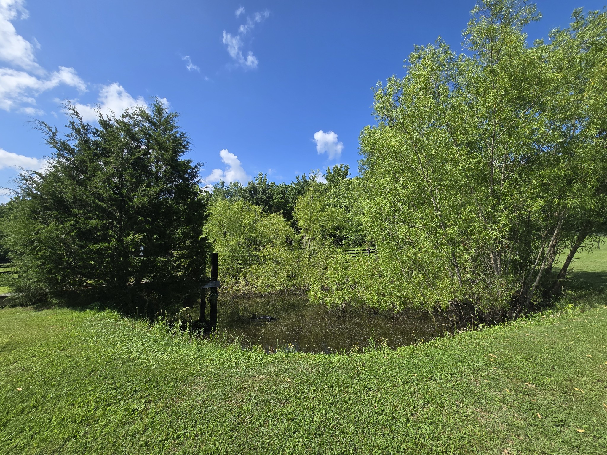 9563 S Harpeth Rd Property Photo 60