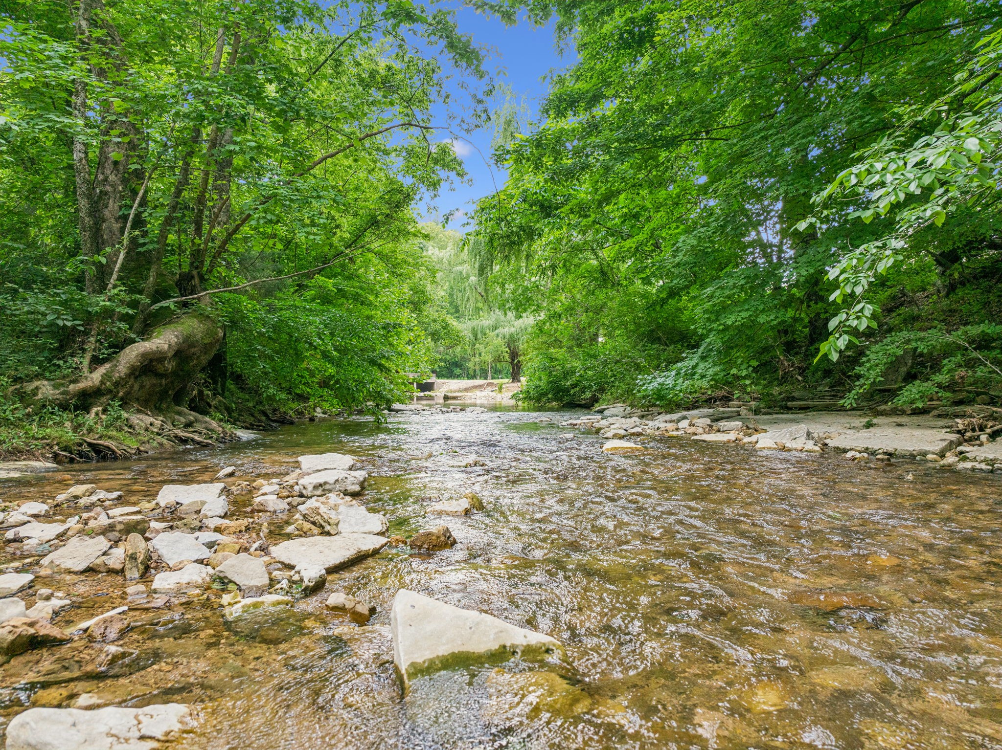 8663 Dog Creek Rd Property Photo 3