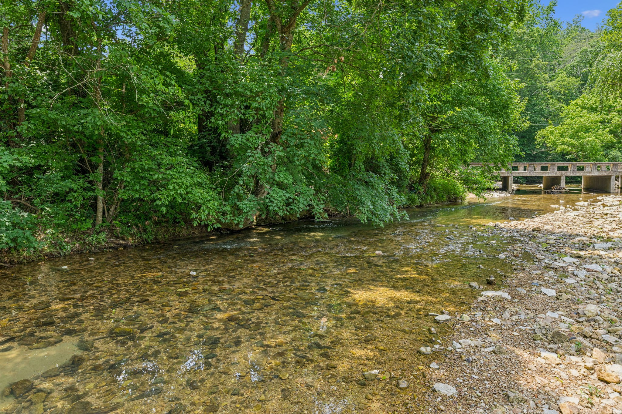 8663 Dog Creek Rd Property Photo 7