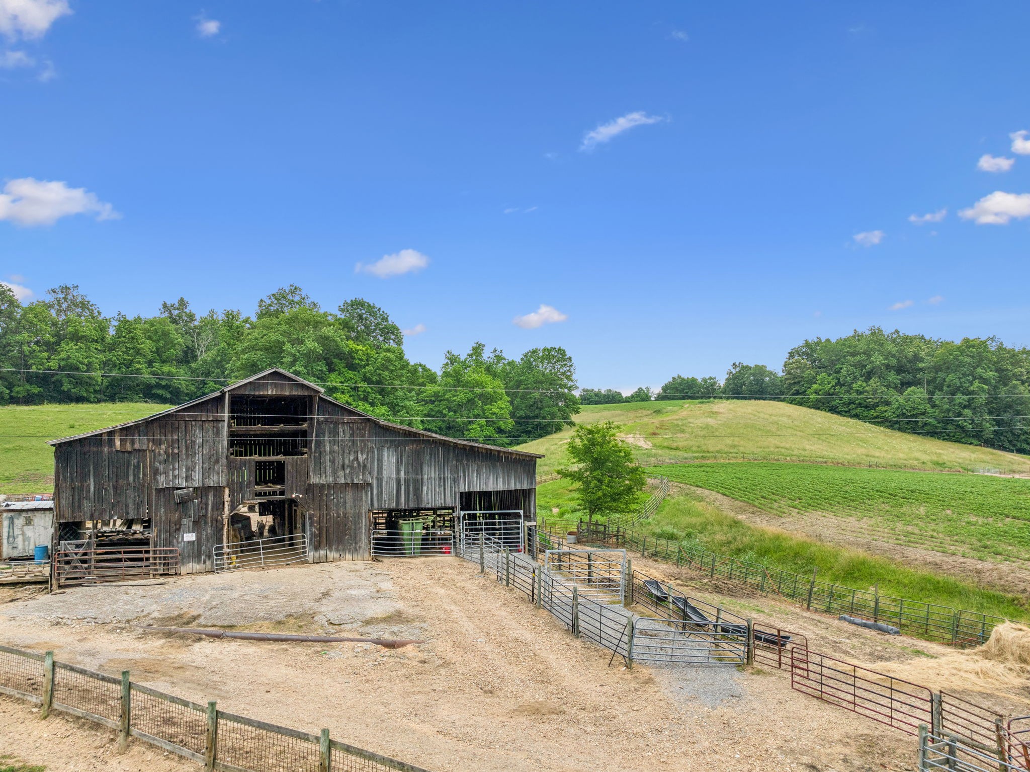 8663 Dog Creek Rd Property Photo 25