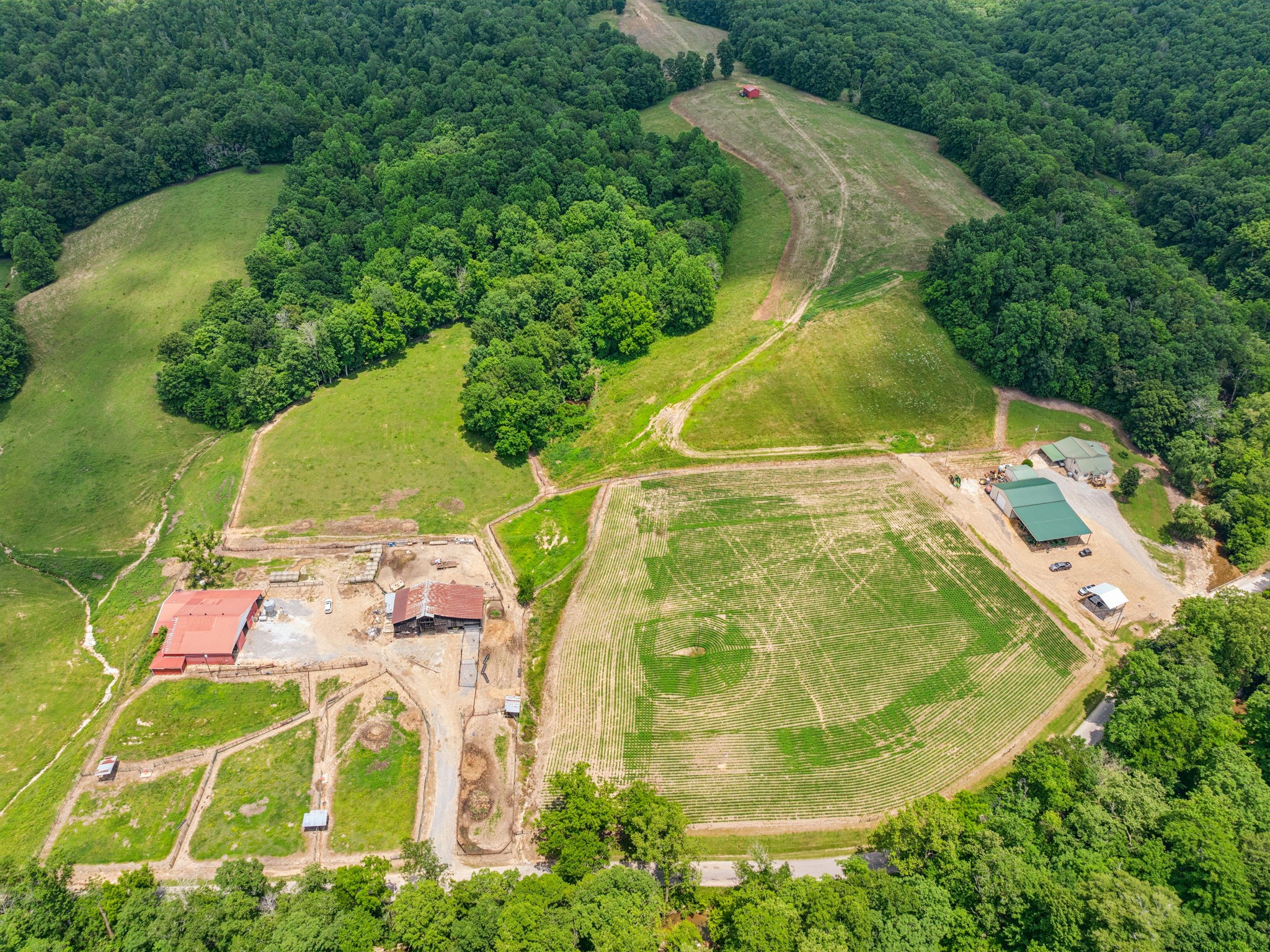 8663 Dog Creek Rd Property Photo 28