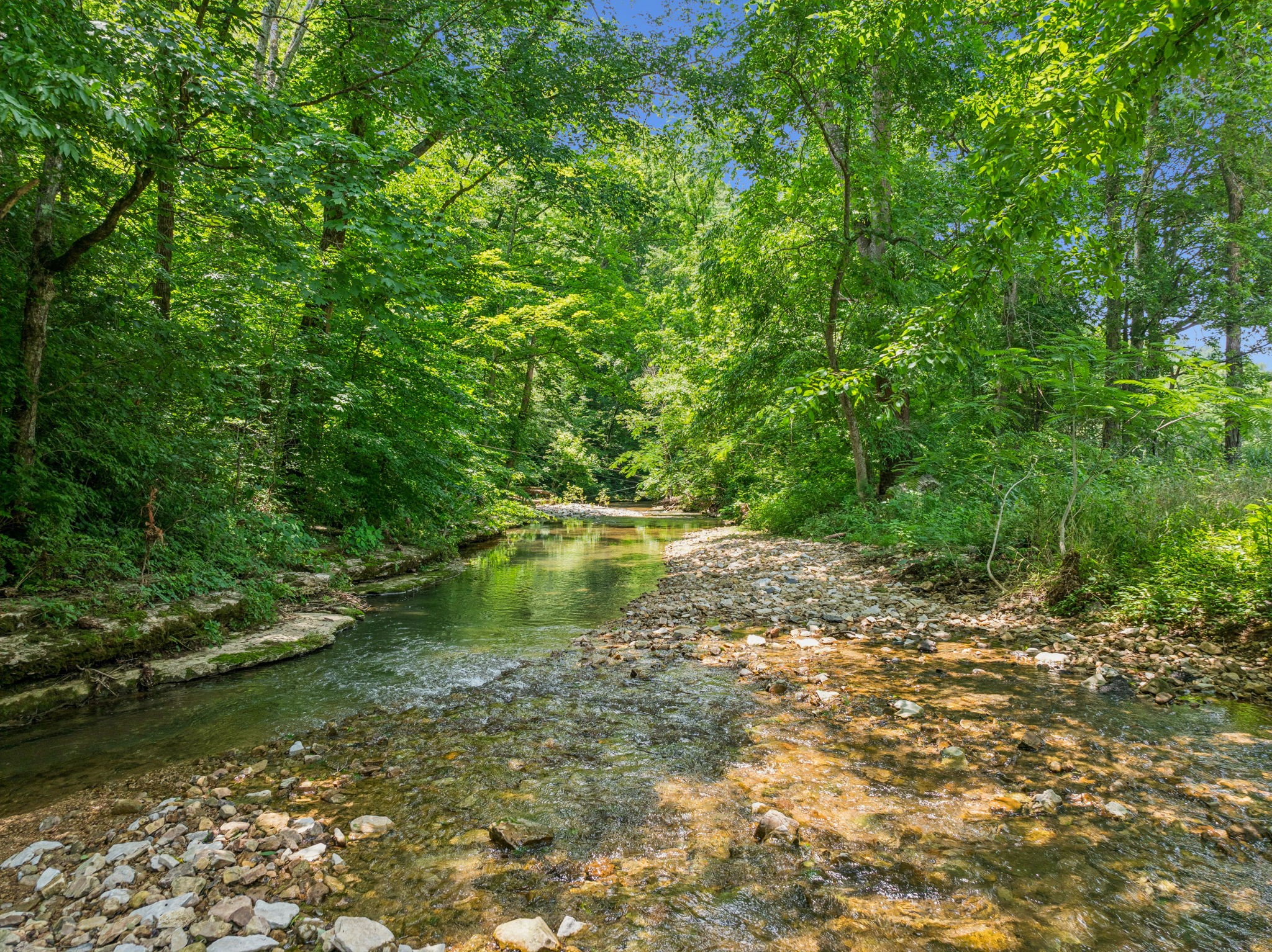 8663 Dog Creek Rd Property Photo 33