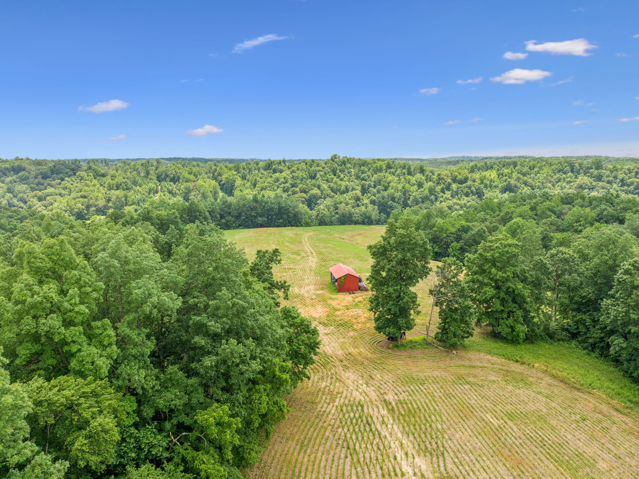 8663 Dog Creek Rd Property Photo 34