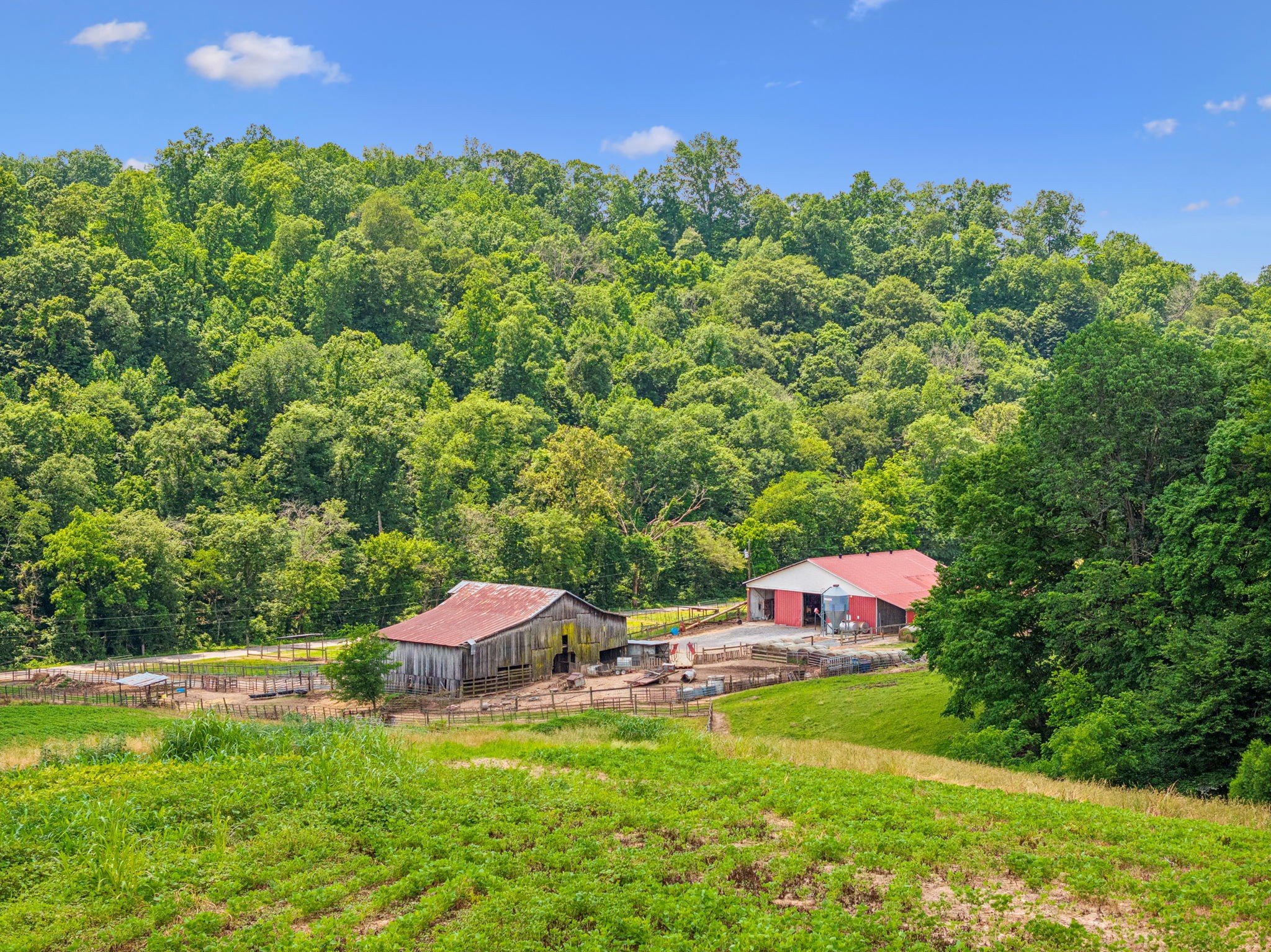 8663 Dog Creek Rd Property Photo 35