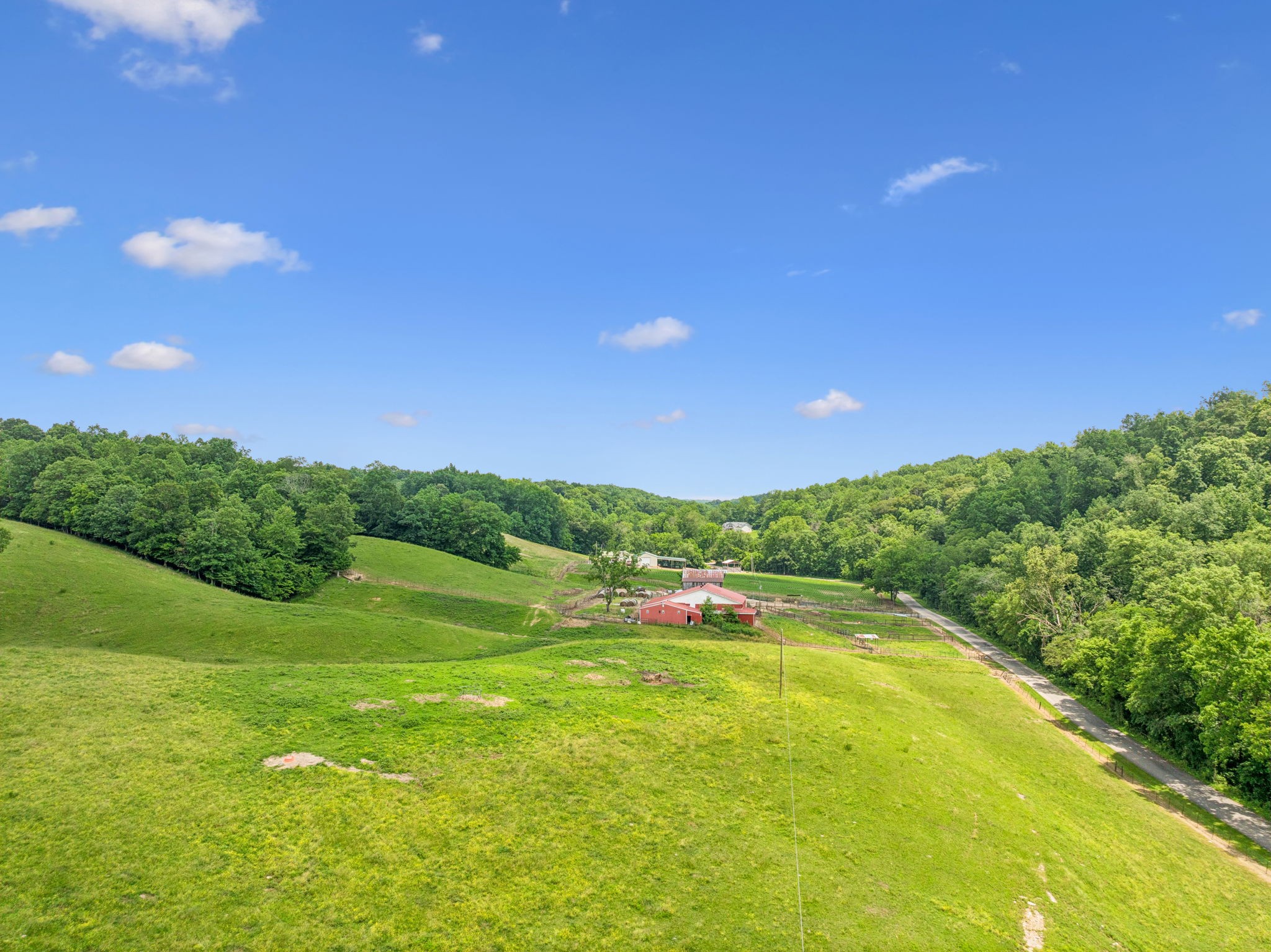 8663 Dog Creek Rd Property Photo 39