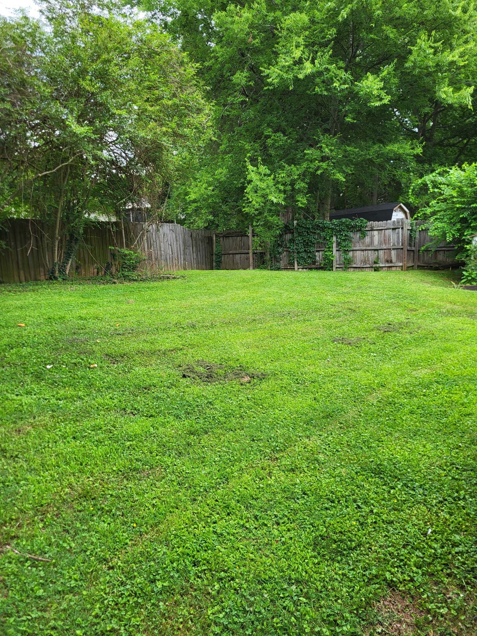 1524 Market Sq Property Photo 3