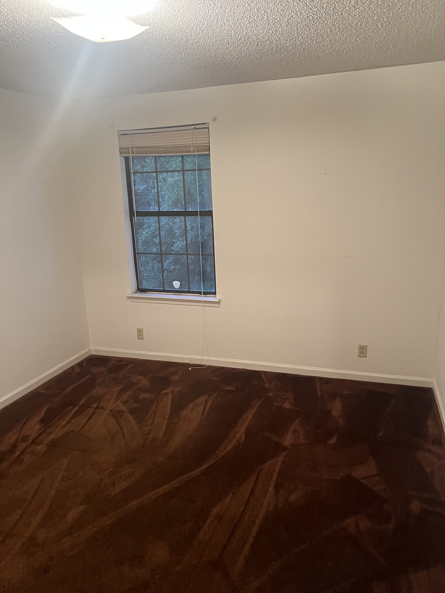 2715 Bullock Ave Property Photo 11