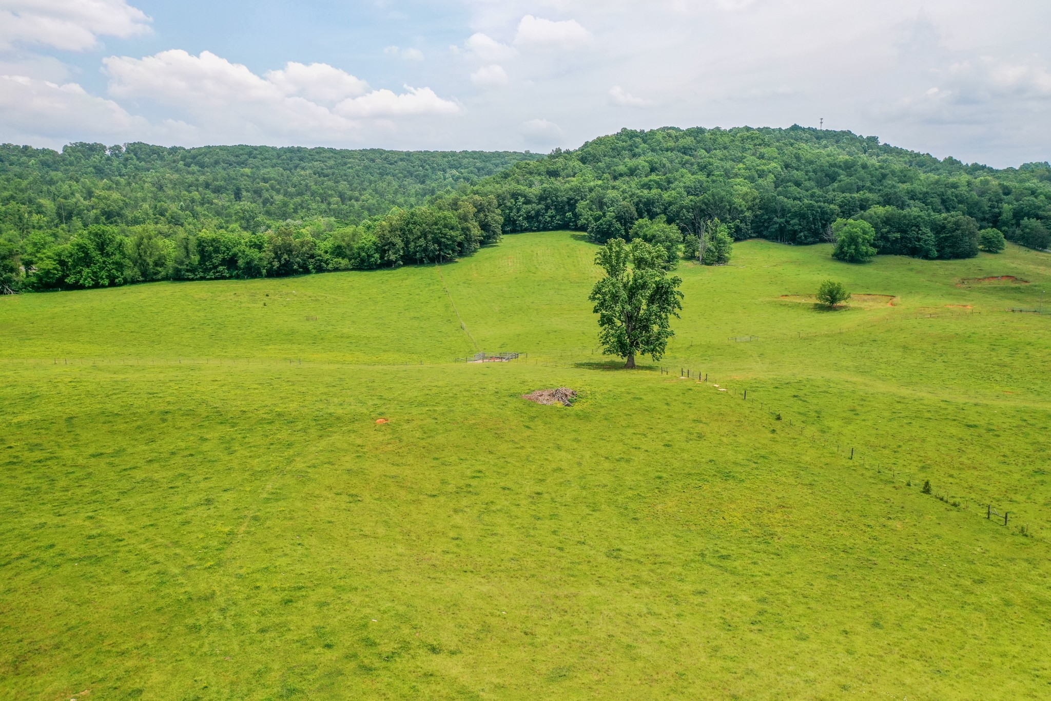 1364 Country Club Rd Property Photo 58
