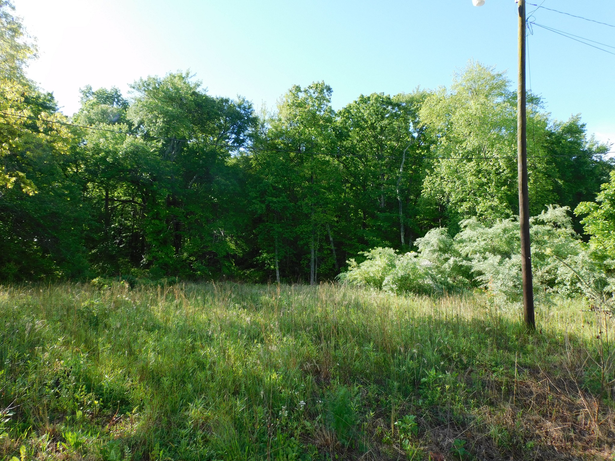 2098 60th Ave, S Property Photo 2