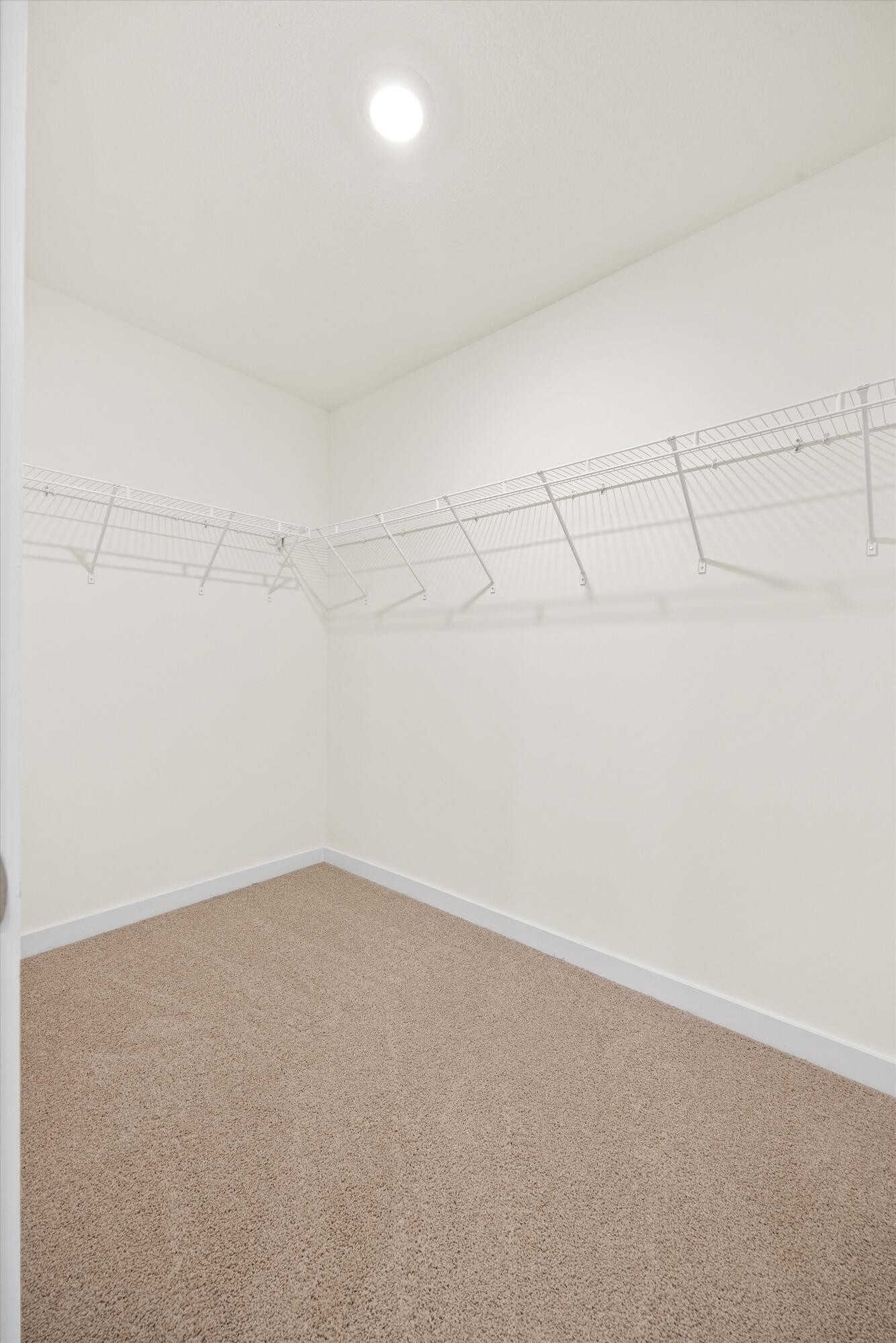 161 Abigayle Way Property Photo 26