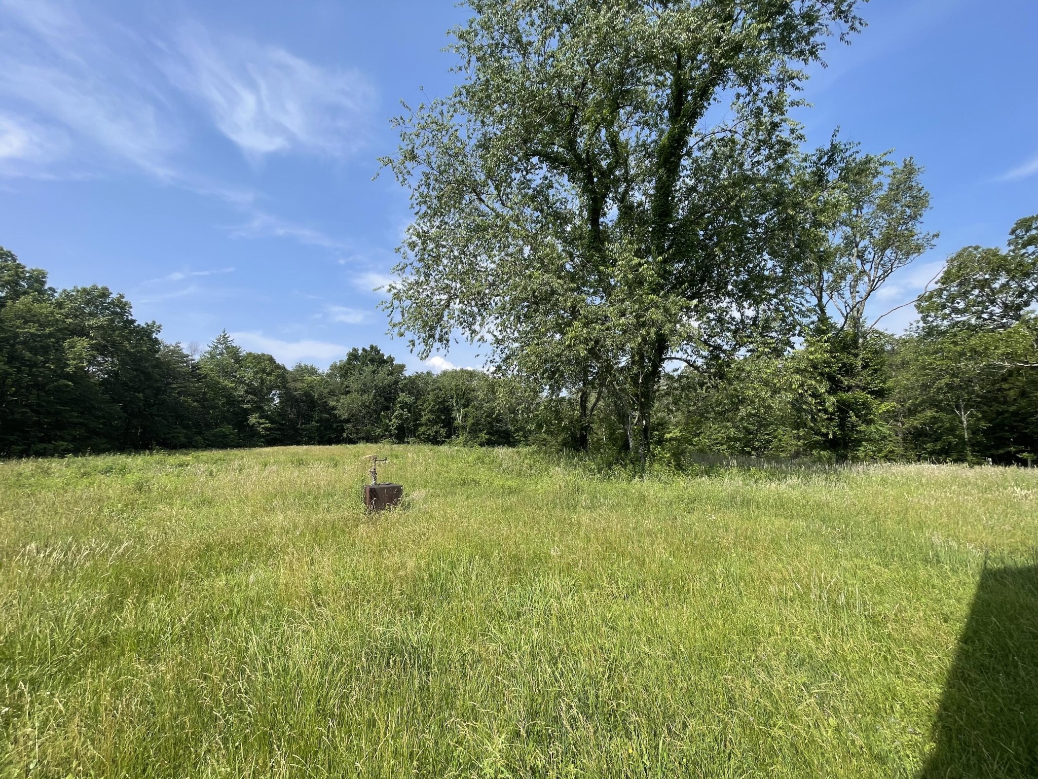 4750 Thomas And Smith Road Property Photo 11