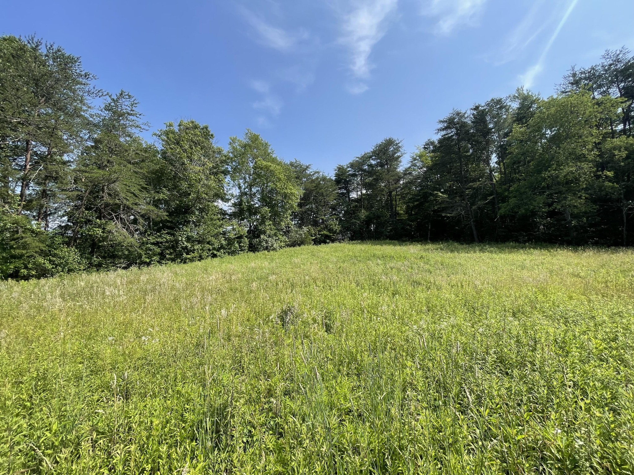 4750 Thomas And Smith Road Property Photo 12